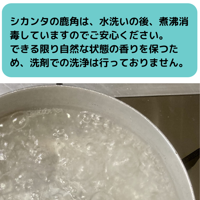 鹿ツノ煮沸消毒
