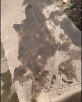 水に強い鹿革GIF１