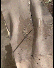 水に強い鹿革２GIF